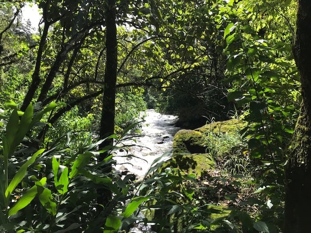 Rio principal de Visconde de Mauá