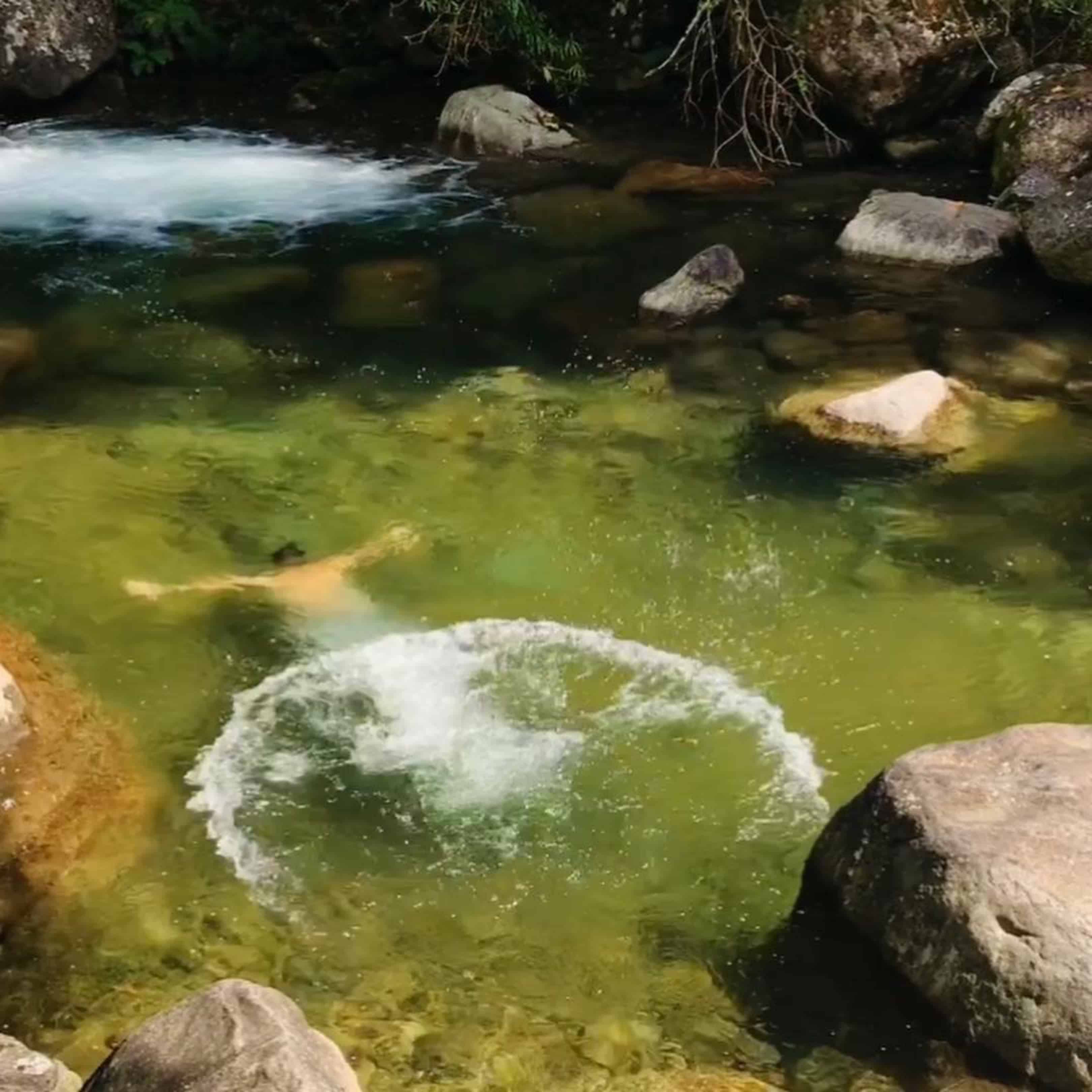 Homem embaixo da água do rio de Visconde de Mauá