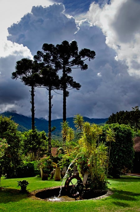 Jardim de araucárias e montanhas ao fundo em Maromba