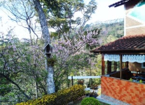 Chalé da pousada na vila da Maromba entre jardim