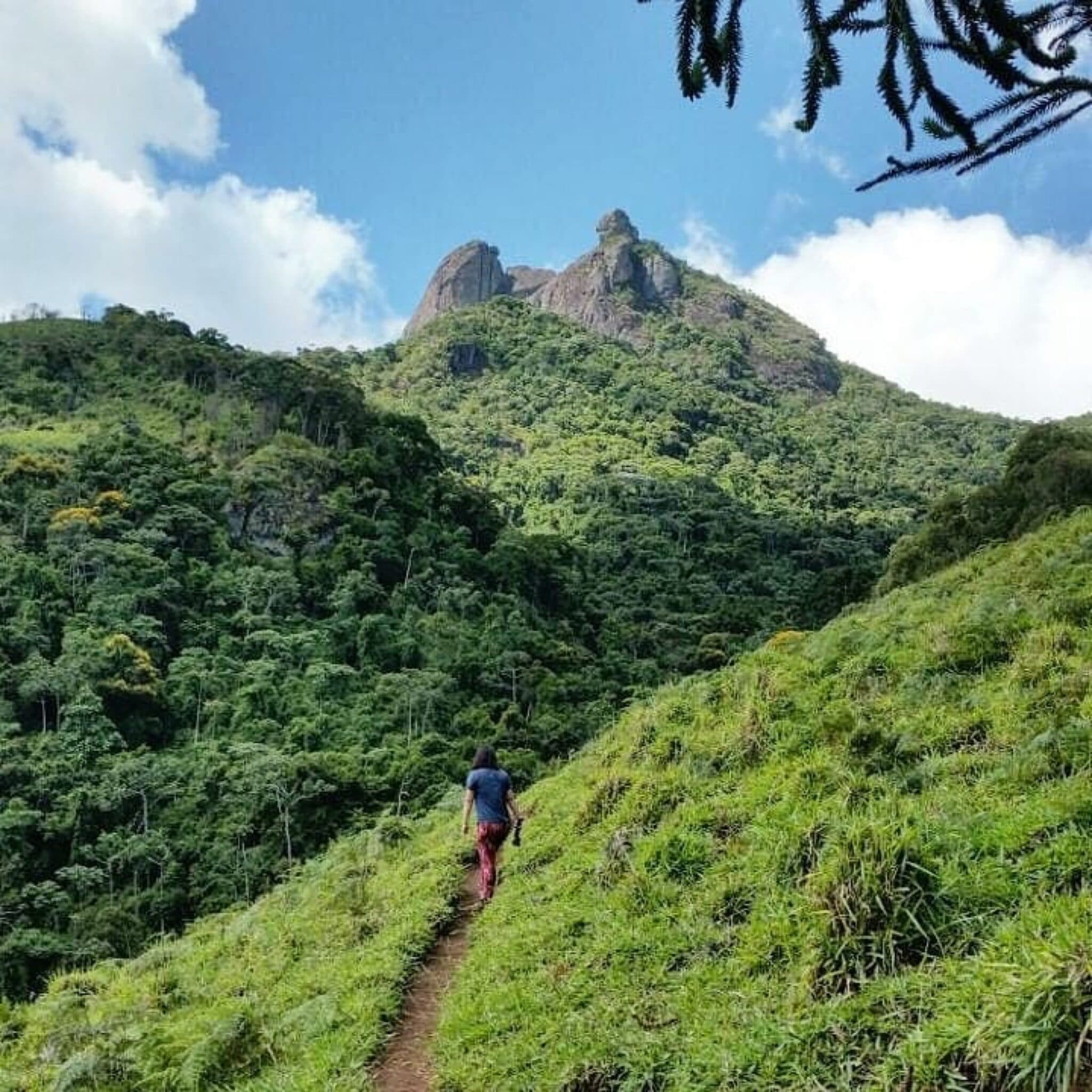 Escarpas do Pico das Agulhas Negras