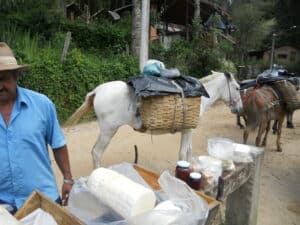 Queijos do tropeiro de Visconde de Mauá