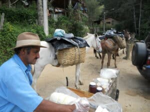 Queijos entregues em mulas pelo tropeiros na vila da Maromba