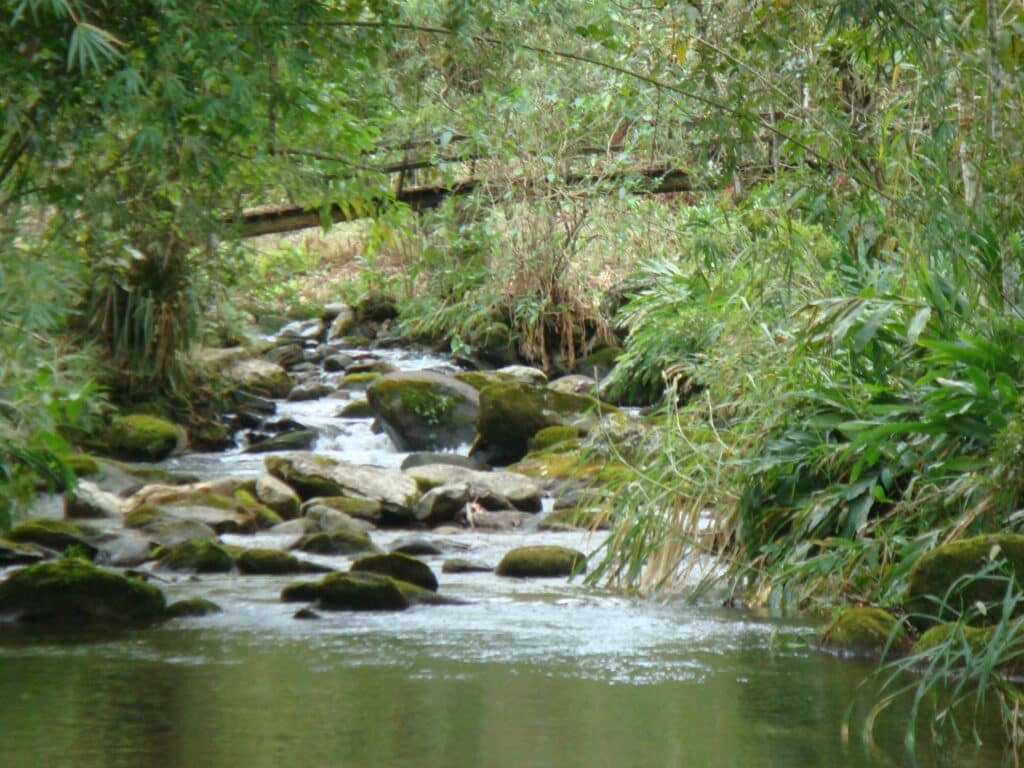 Ponte sobre o rio em uma trilha no Vale da Santa Clara em Visconde de Maua, MG