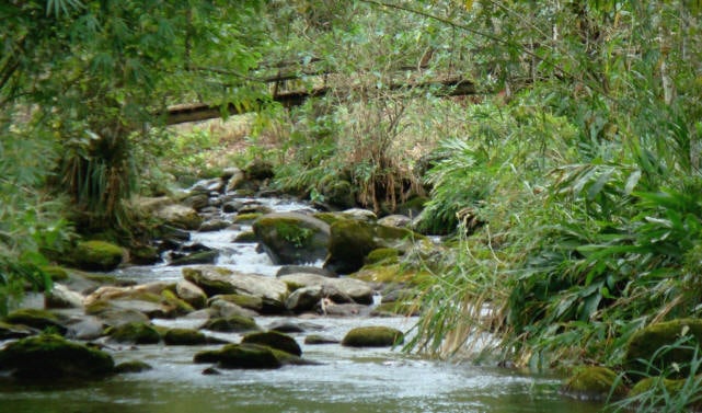 Ponte atravessando o rio principal de visconde de maua