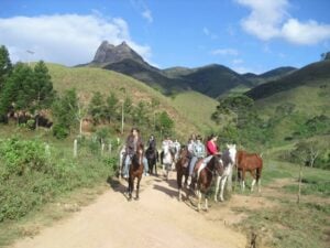 Grupo de pessoas montado à cavalo