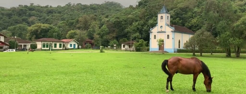 Cavalo pastando no gramado em frente a Igreja de São Sebastião em Visconde de Maua no Rio de Janeiro