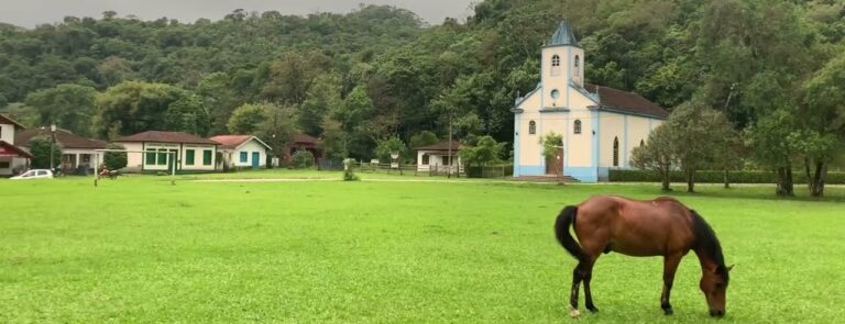 Cavalo pastando no gramado em frente a Igreja de São Sebastião em Visconde de Maua no Rio de Janeiro
