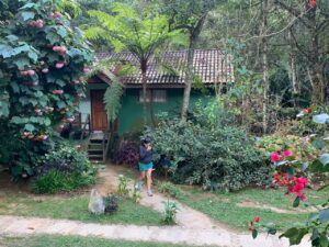 Chalés camuflado entre o verde da floresta de Visconde de Mauá