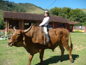 Menina andando num boi em Visconde de Maua