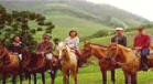 ineshorses