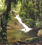 swiming