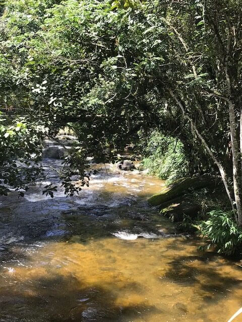 Rio em Visconde de Maua coma mata ciliar