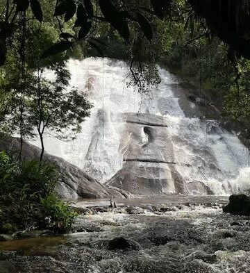 Cachoeira em Visconde de Mauá de grande altura e rio entre a mata ciliar do Pqrque Nacional de Itatiaia