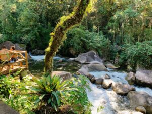 Jardim e árvore ao lado rio na Vila da Maromba